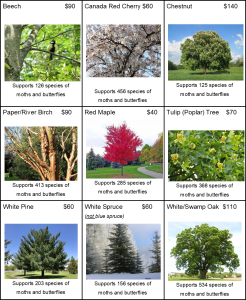 tree listing photos
